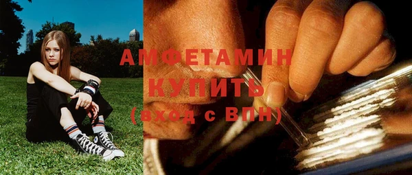 соль ск Пересвет