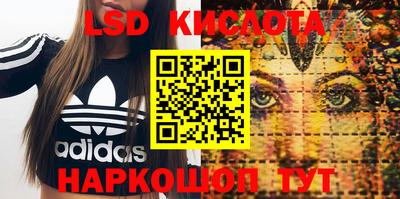прущие грибы Обнинск