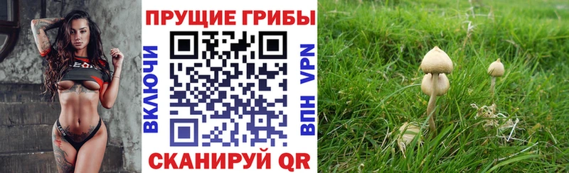 Псилоцибиновые грибы Psilocybe omg Фролово купить закладку